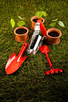 Gardening concept