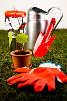 Gardening concept