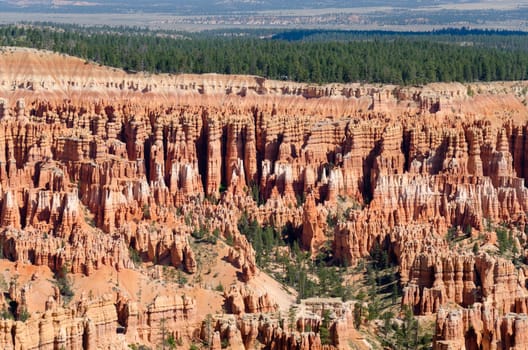 Bryce Canyon National Park in Utah in the United States of America