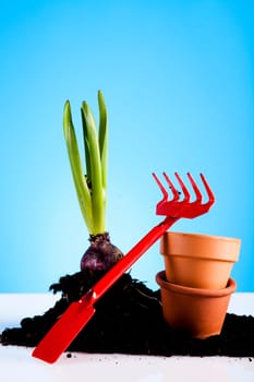 Gardening concept