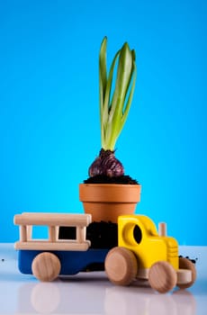 Gardening concept
