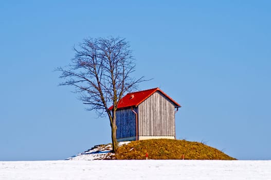 Cabin in the snow