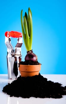 Gardening concept