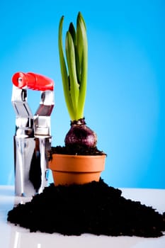 Gardening concept