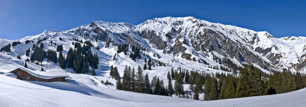 Winter at it's best