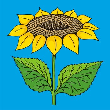 Colorful sunflower sketch on blue background.