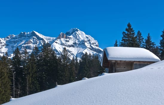Deep snow-covered