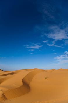 Sahara Desert, merzouga