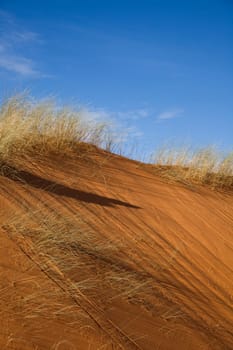 Sahara Desert, merzouga