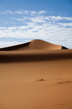 Sahara Desert, merzouga