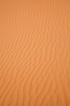 Sahara Desert, merzouga