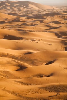 Desert landscape, merzouga, marocco