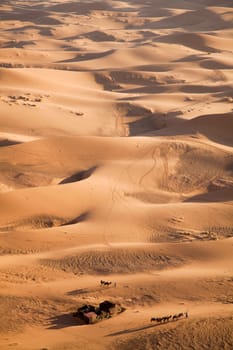 Desert landscape, merzouga, marocco