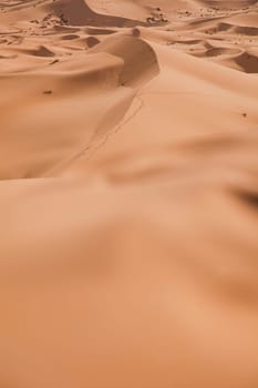 Sand Desert with Dunes in Marocco, merzouga