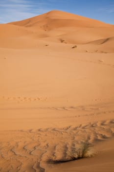 Dunes in Moroccan Sahara