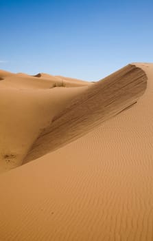 Dunes in Moroccan Sahara
