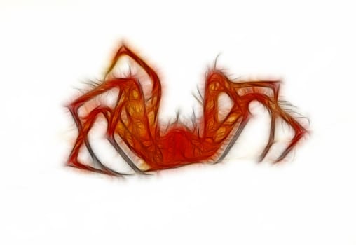 Small spider hunting after prey on white cover