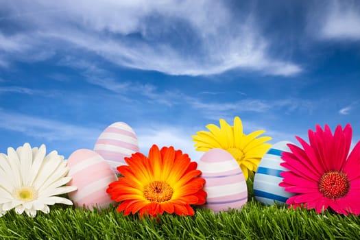 colorful Easter eggs with gerbera flowers