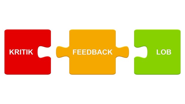 Puzzle: Feedback - Praise & Criticism
