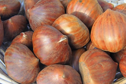 ripe chestnuts,fruits of the sweet chestnut tree (Castanea sativa)