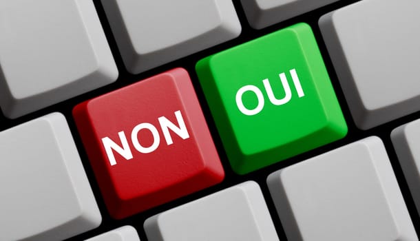 Non / Oui online