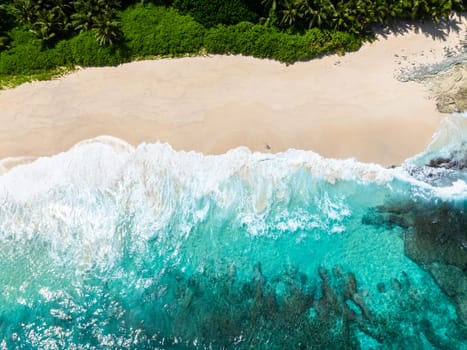 Tropical beach with palm trees. Seychelles, Mahe. Anse Petit Boileau.