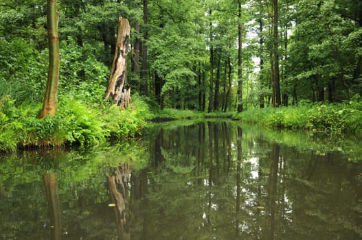 Spreewald