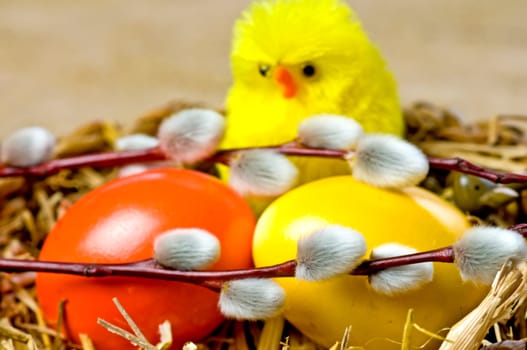 Easter nest with palm catkins,eggs and chicks