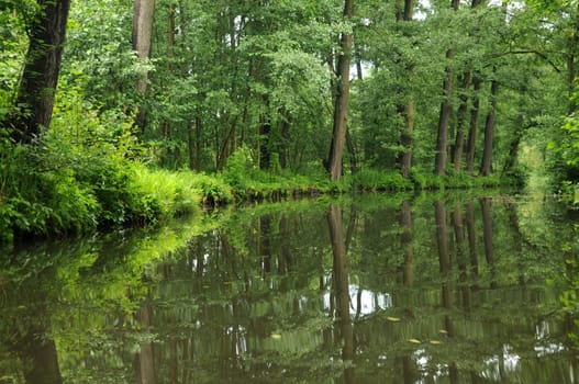 Spreewald