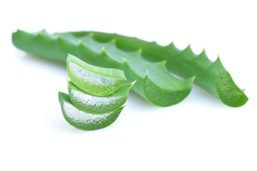Aloe fresh leaf. Isolated over white background