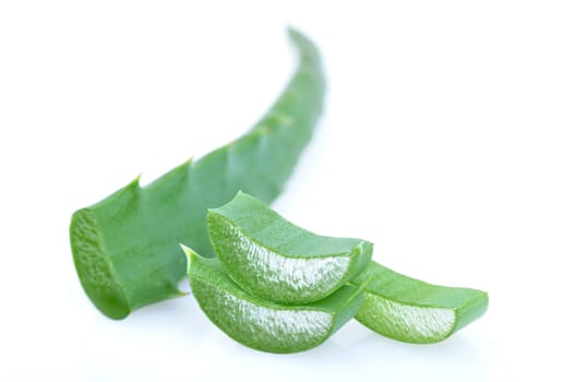 Aloe fresh leaf. Isolated over white background