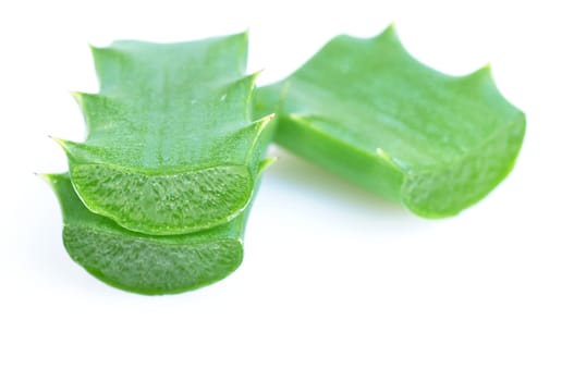 Aloe fresh leaf. Isolated over white background