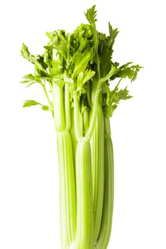 Fresh celery close up