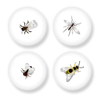 A set of four buttons with detailed drawing of flying insects. Isolated objects on white background.