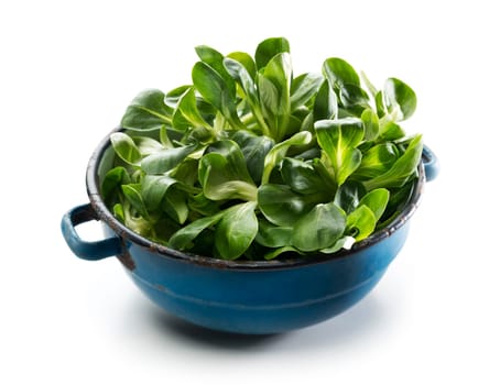 Valerianella lettuce in a bowl isolated on white