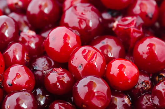 The defrozen cranberry, close up
