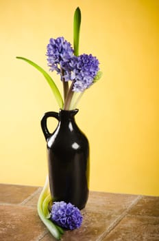 Bouquet with blossoming to hyacinths