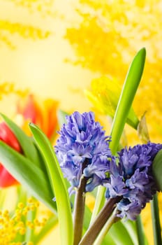 Bouquet with spring flowers and a mimosa