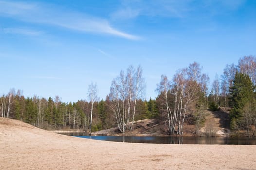 Spring landscape at wood lake