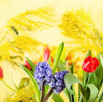 Bouquet with spring flowers and a mimosa
