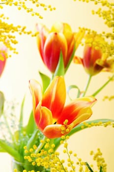 Spring bouquet with a mimosa and tulips