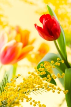 Spring bouquet with a mimosa and tulips