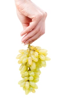Woman hand holding bunch of green grapes isolated on the white background