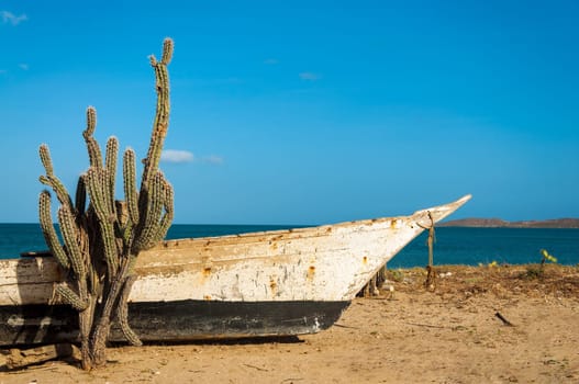An old boat and a cactus on a dry arid beach