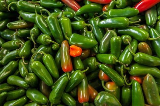 Lots of green jalapenos in a vegetable market