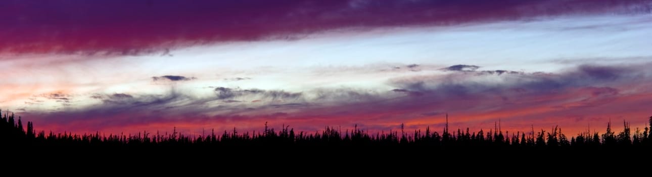 Panoramic Sunset in the woods of Oregon State North America