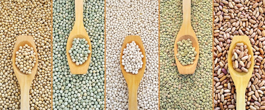 Collage of dried lentils, peas, soybeans, beans with wooden spoon