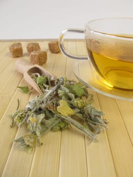 A cup of Greek mountain tea