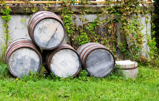 Old stacked beer barrels at the farm