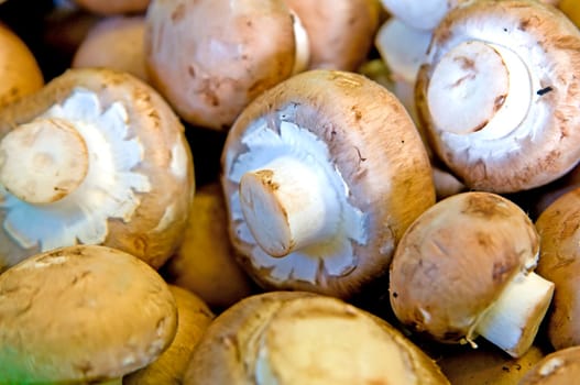 Mushroom at the farmer's market